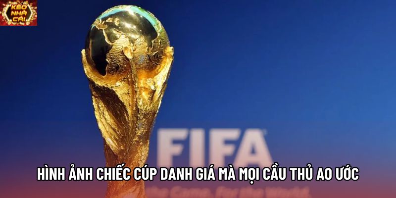 Hình ảnh chiếc cúp danh giá mà mọi cầu thủ ao ước Hình ảnh chiếc cúp danh giá mà mọi cầu thủ ao ước